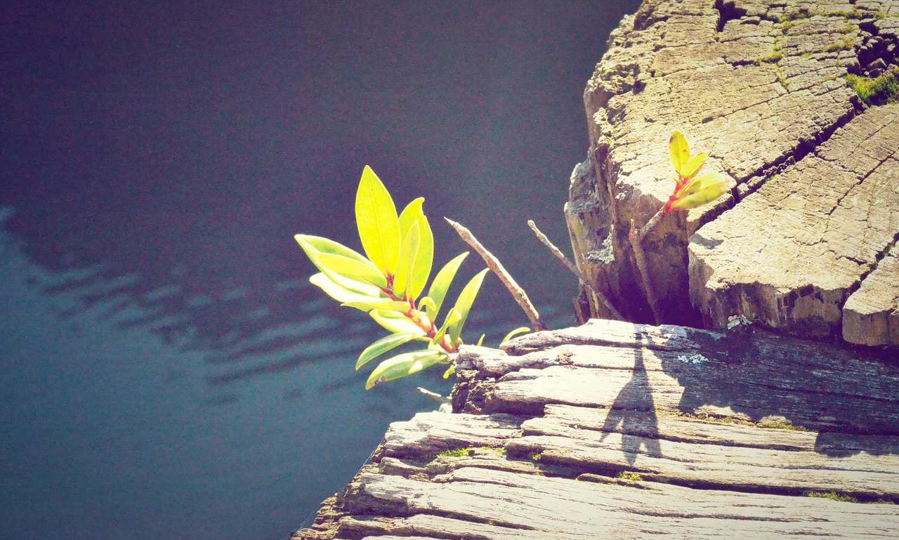 cilxarhu677 moisturizer