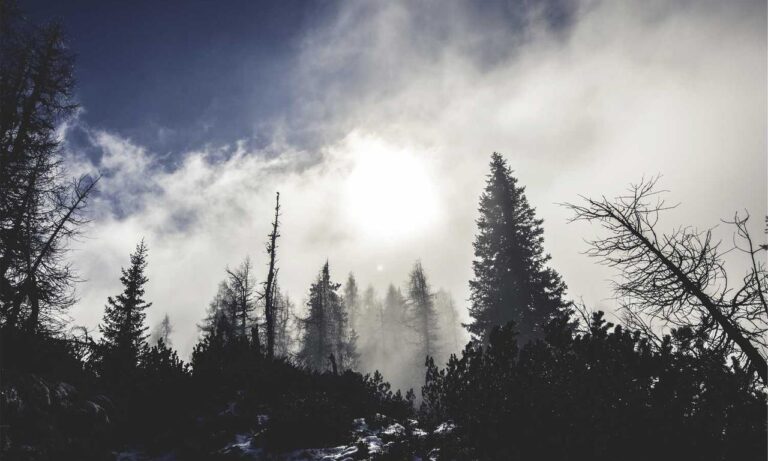 codes error rcsdassk