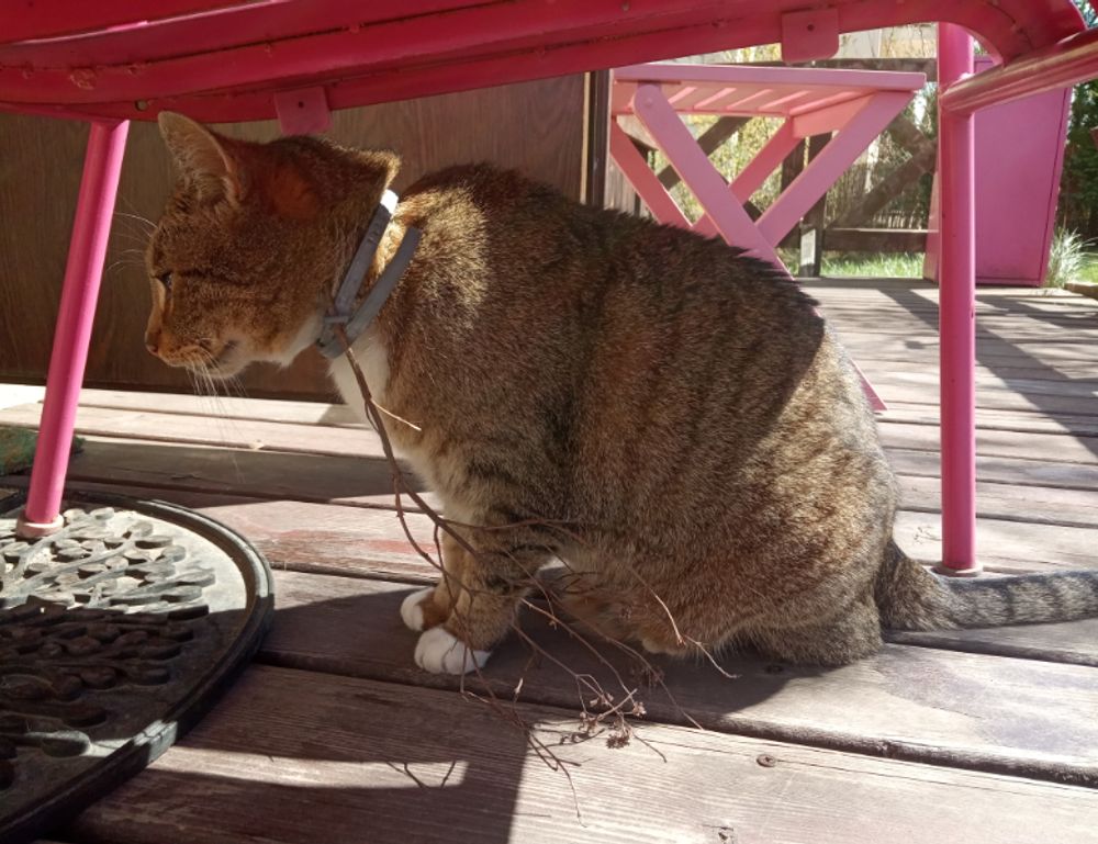 gaming vivid2201 patches