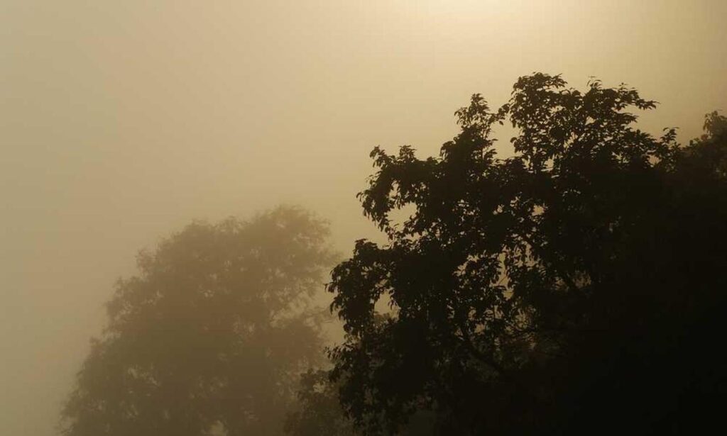 how to parent convwbfamily