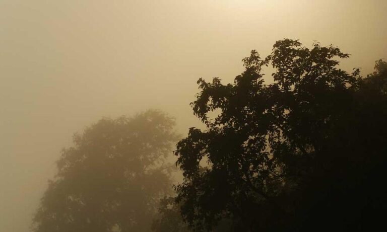 how to parent convwbfamily