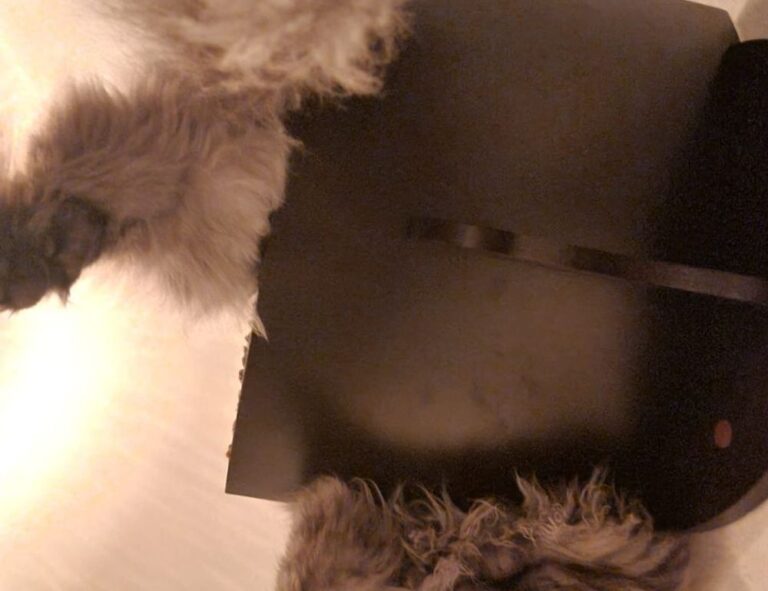 is 2579xao6 easy to learn