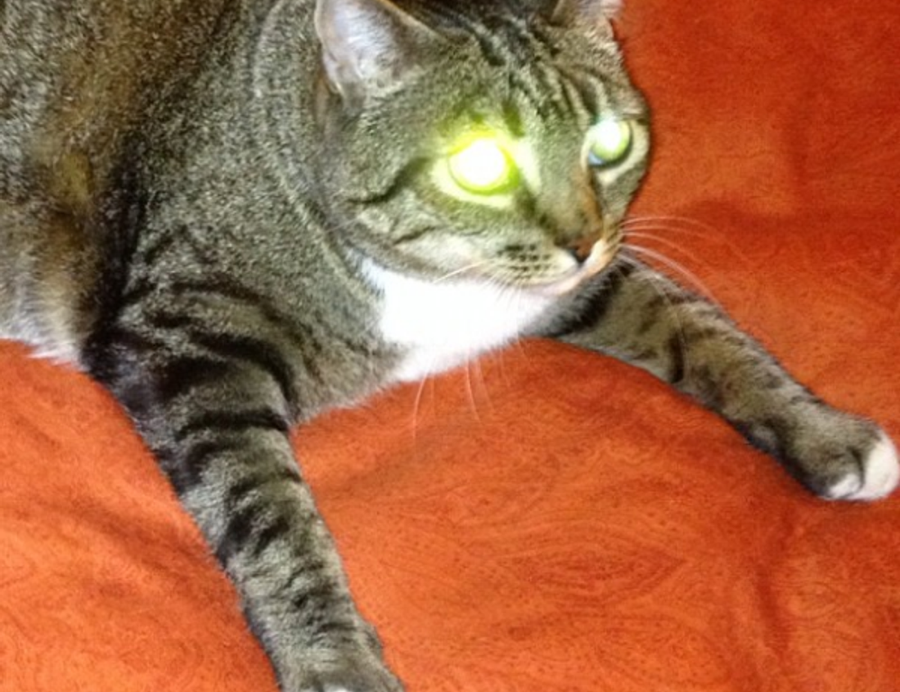 new software name mozillod5.2f5