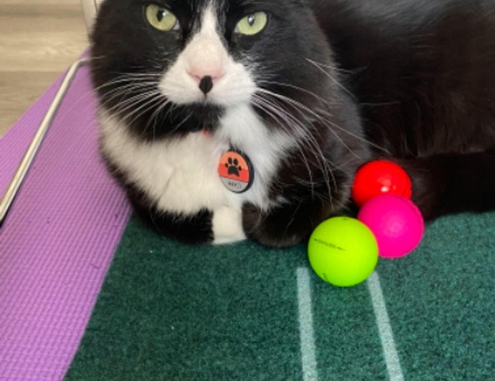 parenting done easily convwbfamily