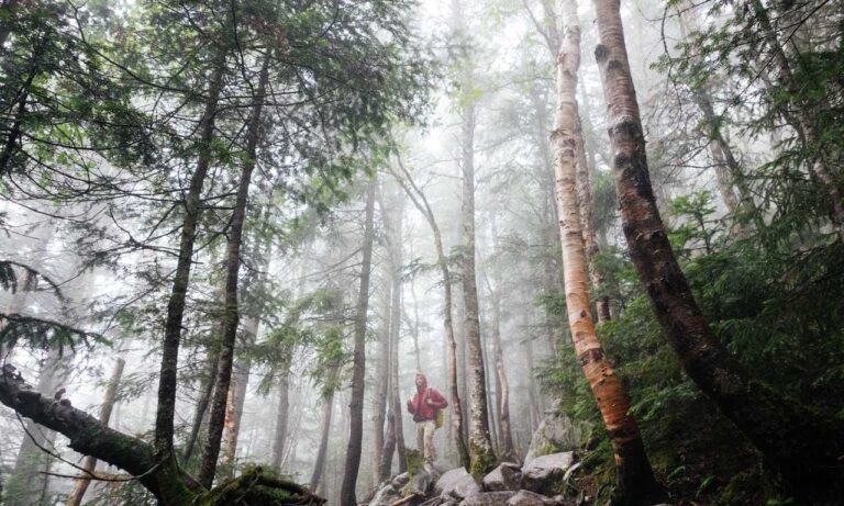 software error rcsdassk