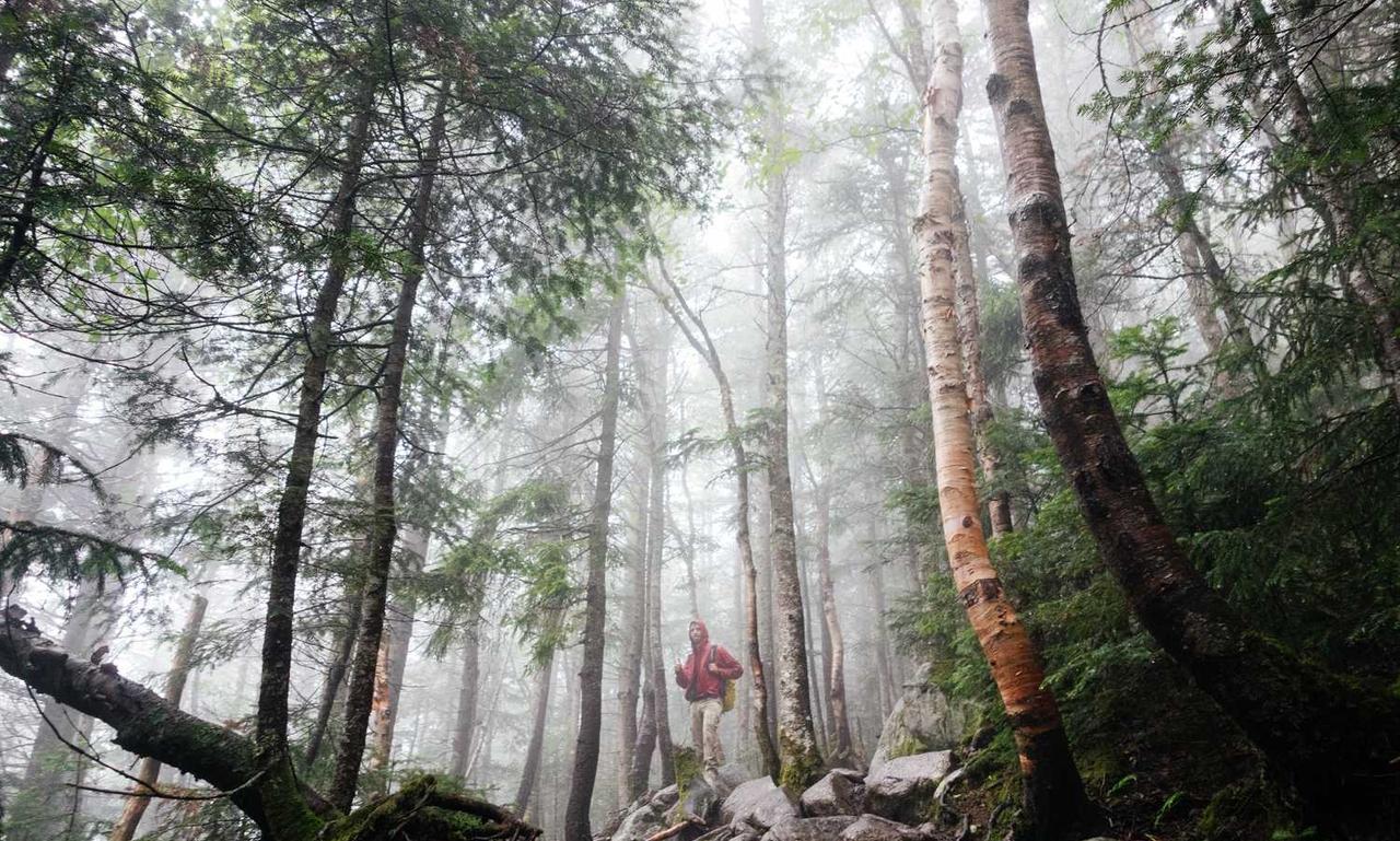 software error rcsdassk