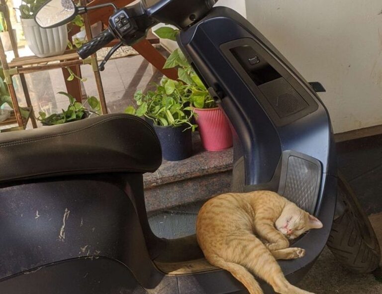 update munjoff1445 mods