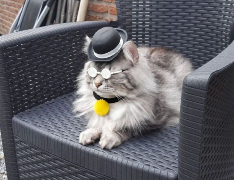 where to download ustudiobytes