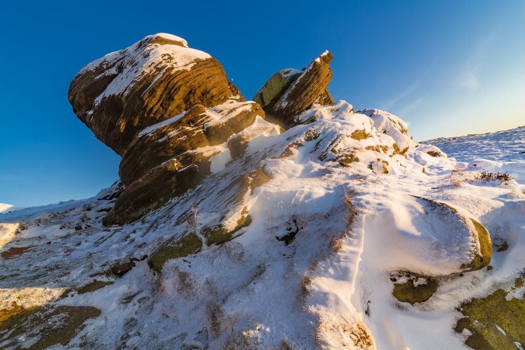 zopalno number flight