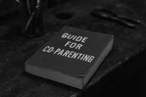 co-parenting guide
