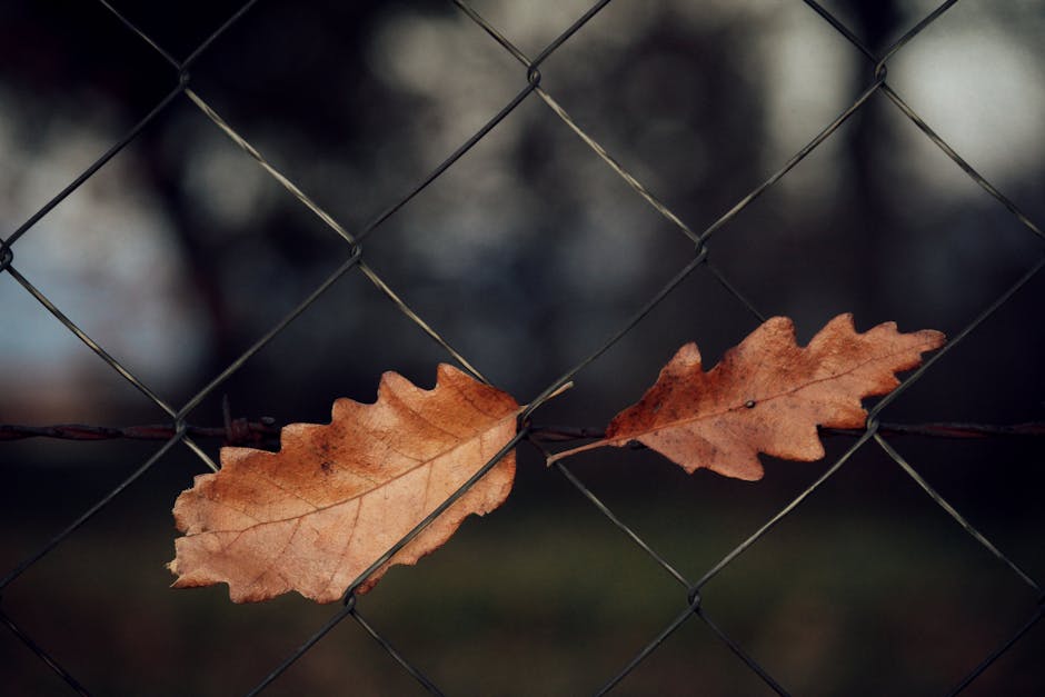 respectful boundaries