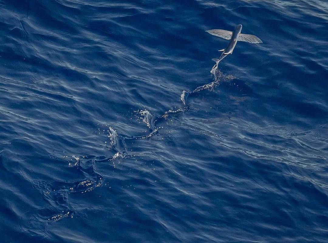 The Savvy Strategist: The Business Behind the Brand