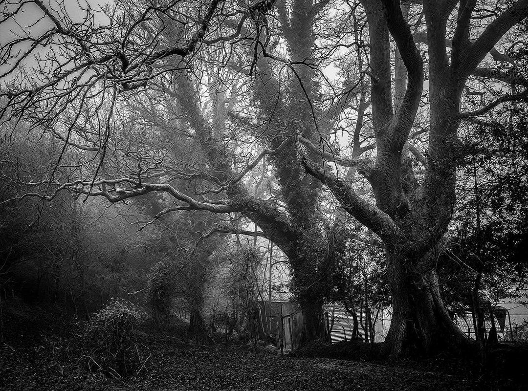 On-Site Chair Massage vs. Spa Vouchers: Which Is Right for Your Team?