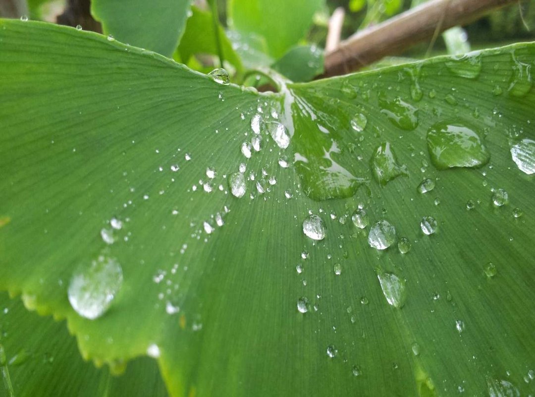 More Than Just Pictures: Building a Personal Brand