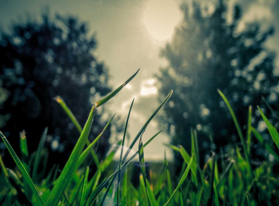 Step-by-Step: Animating Your First Stylized Video Clip