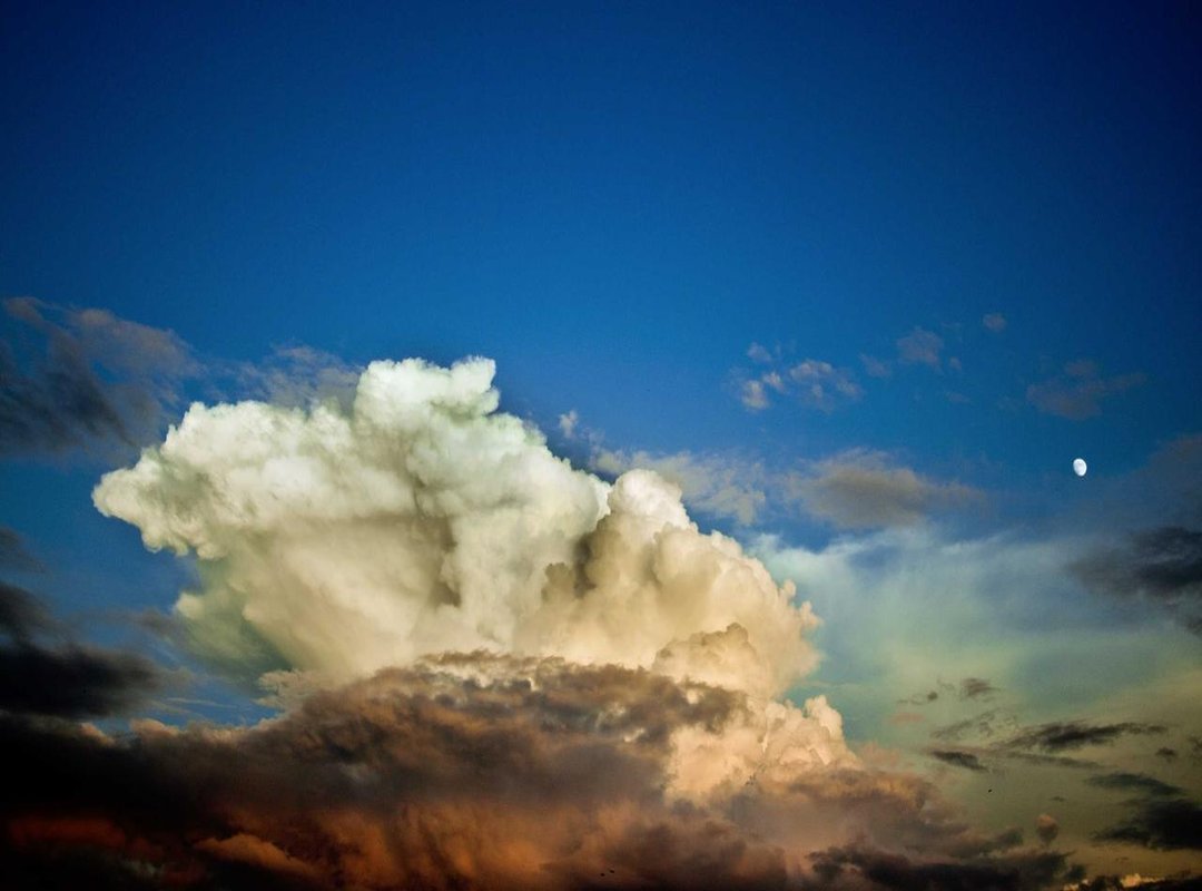 Comparisons: Different Styles and Brands