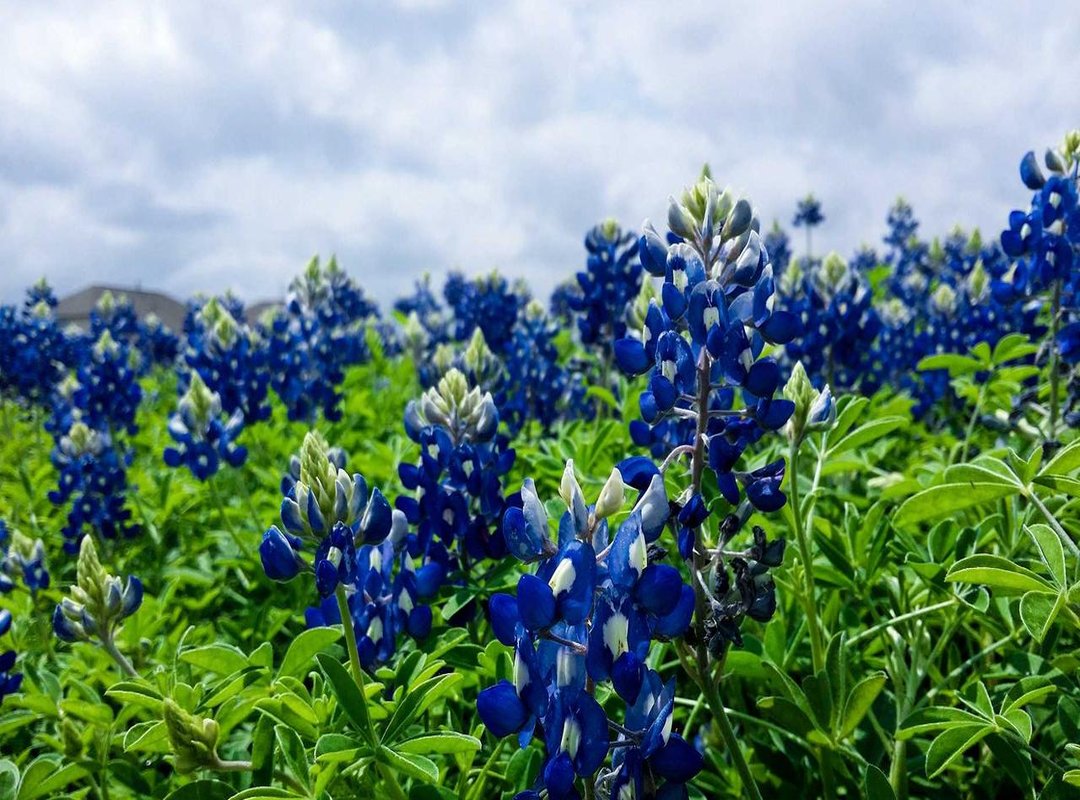 Why the Question Arose: Past Incidents and Controversies