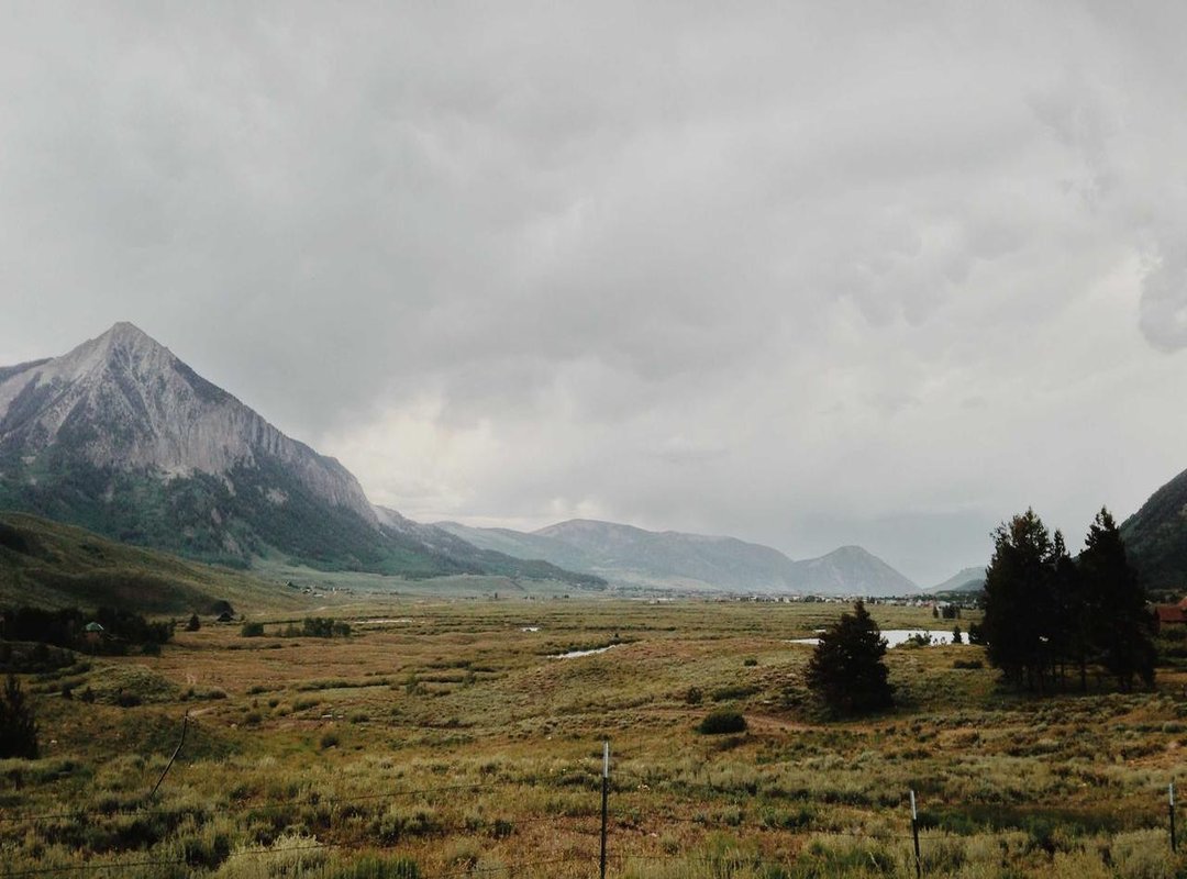 What to Expect Inside: A Look at the Content and Community