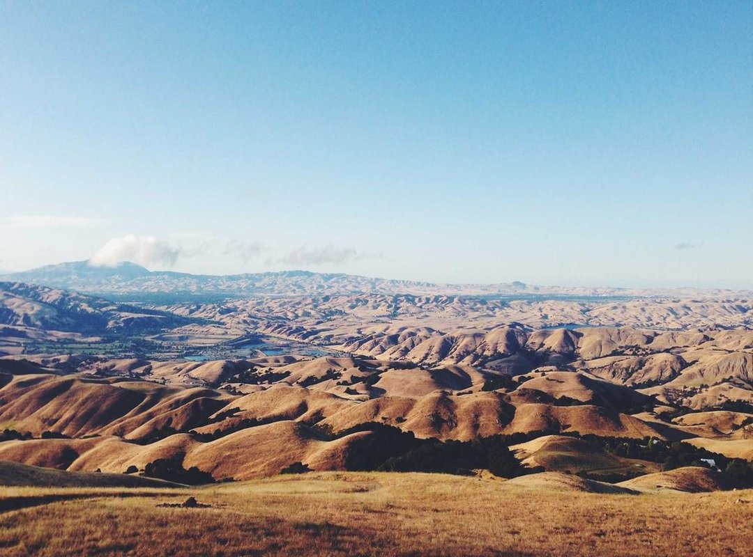 Safety First: How to Spot and Avoid Fake or Malicious Links