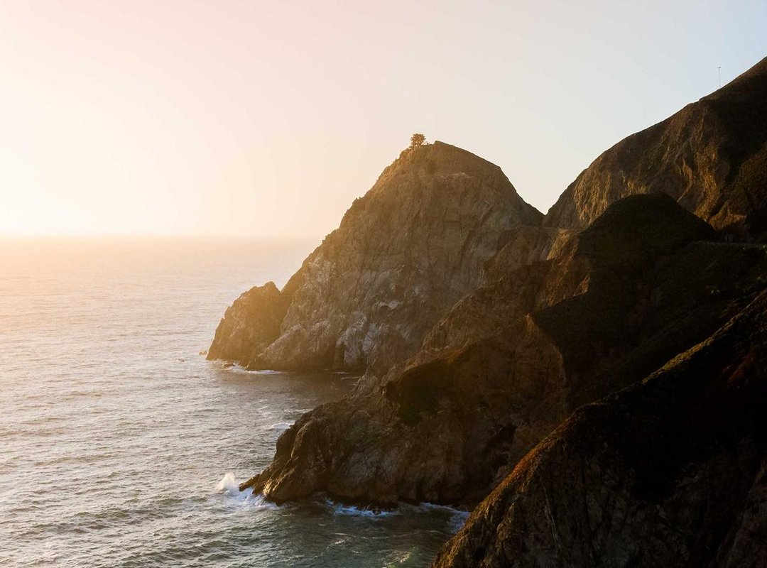 The Online Reaction: Public Opinion and Social Media's Response