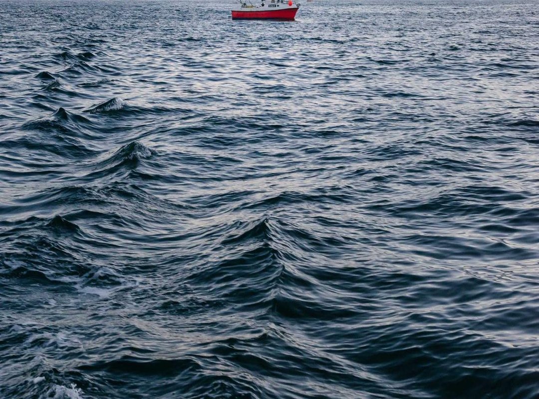 The Final Verdict: Should You Invest in Trade ReoPro 100?