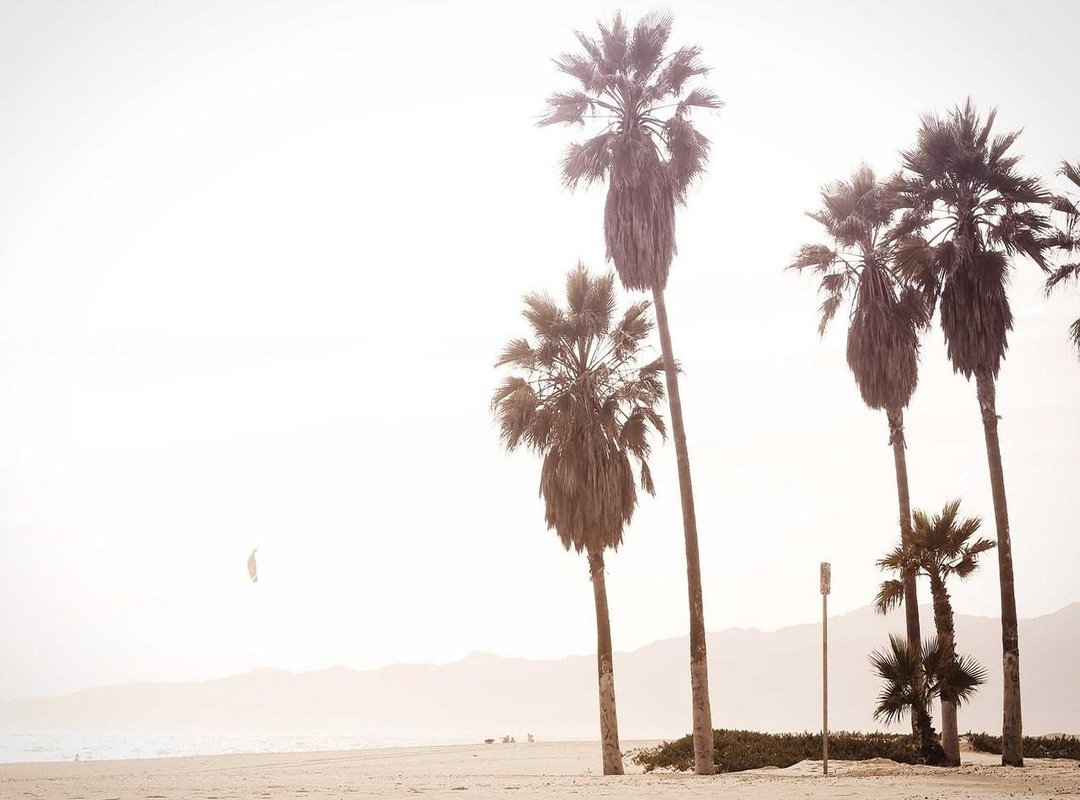 More Than Just a Joke: The Legacy of 'King-Size Homer'