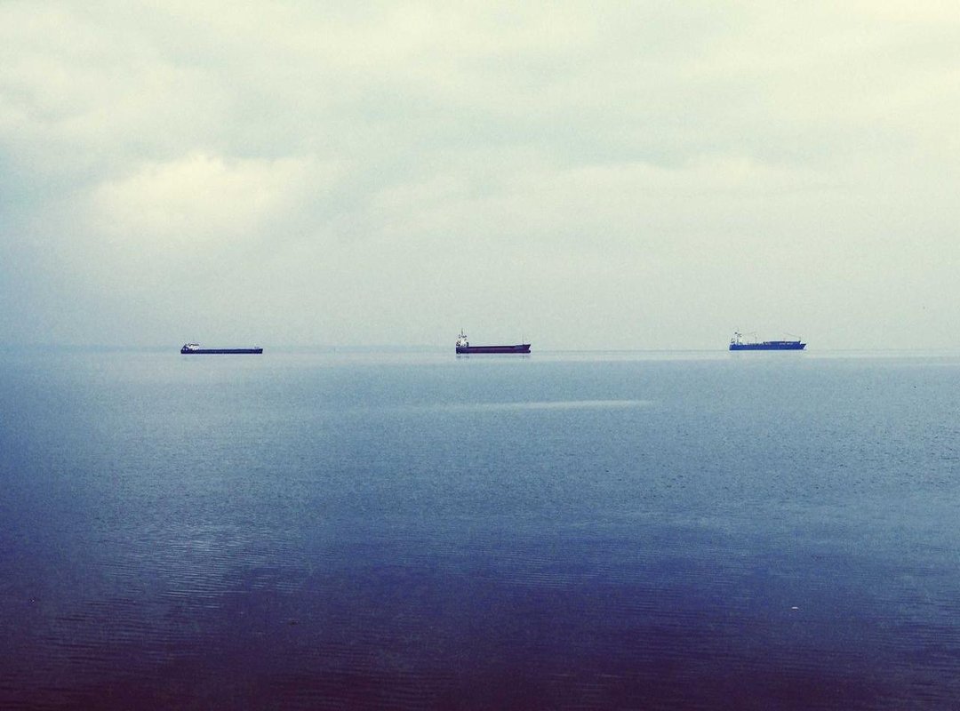 The Sitting Fox in Action: Popular Formats and Examples